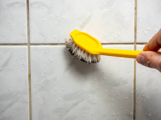Best Affordable Mold Removal  in Markham, IL