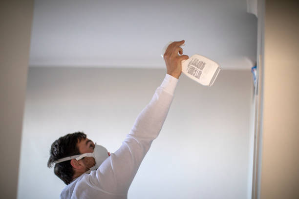Mold Testing and Removal in Markham, IL