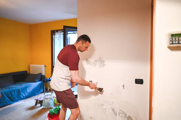 Best Attic Mold Removal  in Markham, IL